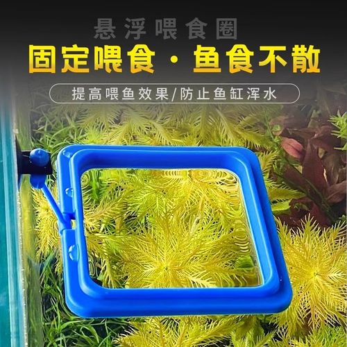 求冷水性观赏鱼品种最全的名称